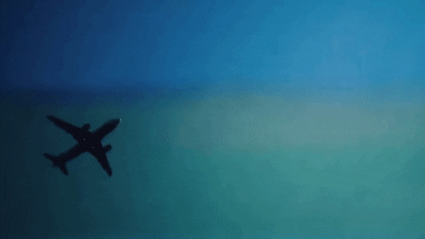 Landing Sub Pop GIF by Sub Pop Records - Find & Share on GIPHY