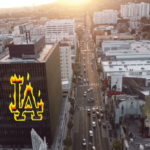 Los Angeles City GIF by Yevbel