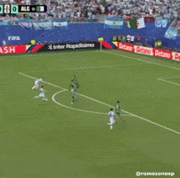 World Cup Argentina GIF
