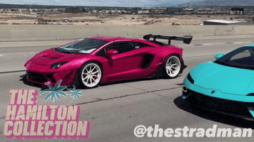 Lamborghini GIF by TheHamiltonCollection