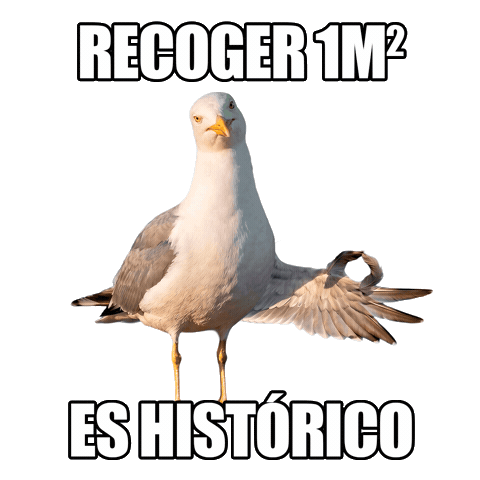 Proyectolibera Sticker by ecoembes