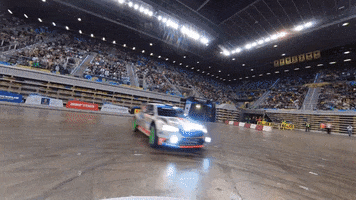 Party Driving GIF by FIA European Rally Championship