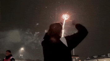Happy Fireworks GIF by RhodeIslandFC