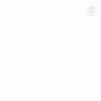 Worldbeeday Gifs Get The Best Gif On Giphy