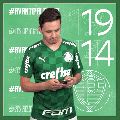 Raphael Veiga Soccer GIF by SE Palmeiras