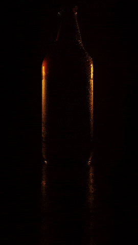 Beer Drink GIF by Três Domingos