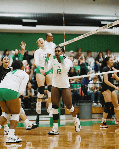 North Texas Volleyball GIF by UNT Athletics