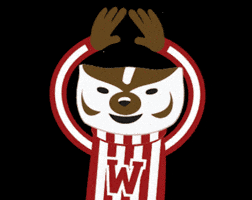 Madison Uw GIF by uwadmissions
