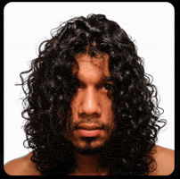 Papon GIF