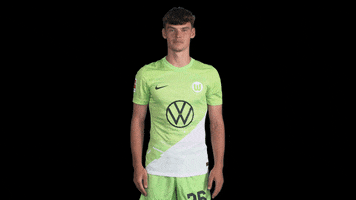 Bundesliga Applause GIF by VfL Wolfsburg
