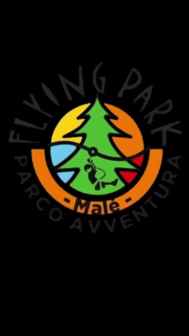 FLYING PARK GIF