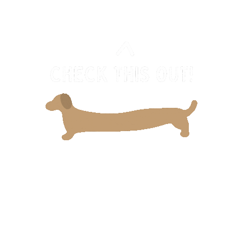 Aesthetic Sticker