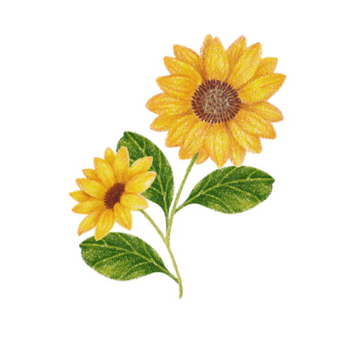 Flower Sticker
