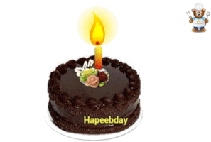 hbeautytips8 gif birthday happy birthday GIF