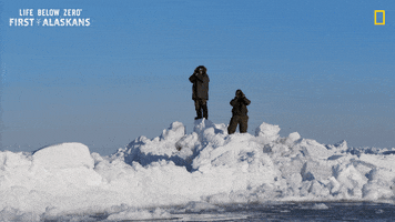 Looking Nat Geo GIF by National Geographic Channel