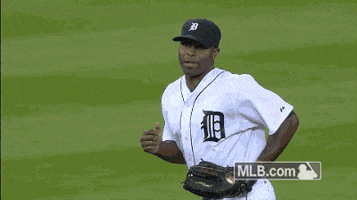 Detroit Tigers GIF by MLB