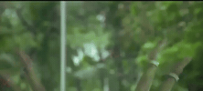 Prithviraj Sukumaran GIF