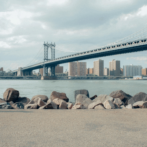 New York GIF