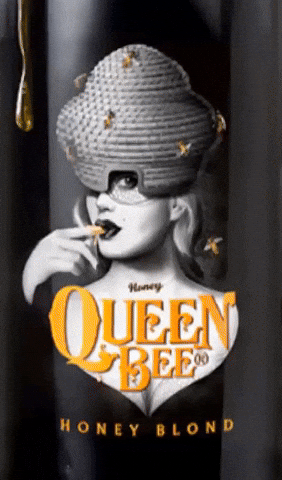 Brouwerij Hoop GIF