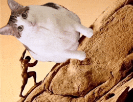 Uncle Bao Bao GIF