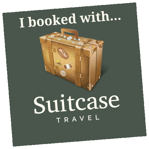 Suitcase Travel GIF