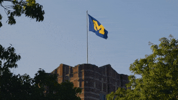Go Blue Michigan Flag GIF by University of Michigan