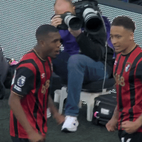 Lets Go Hug GIF by AFC Bournemouth