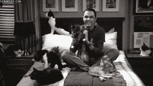 jim parsons