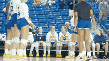high five ncaa sports GIF by Delaware Blue Hens