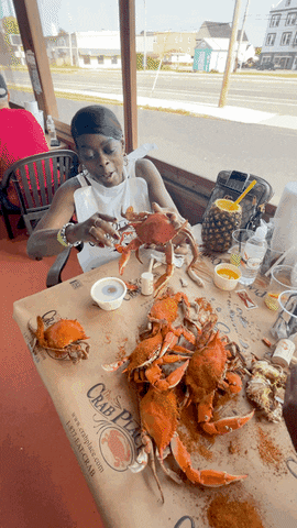 Happy Fun GIF by The Crab Place