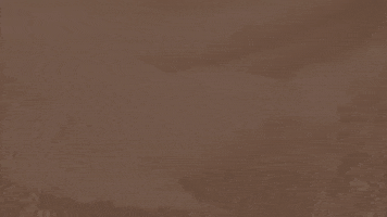Brigadevalencia GIF