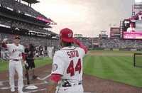 Soto-vs-ohtani GIFs - Get the best GIF on GIPHY