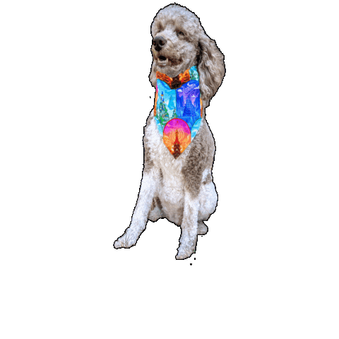 Avatar The Last Airbender Poodle Sticker by Geekster Pets