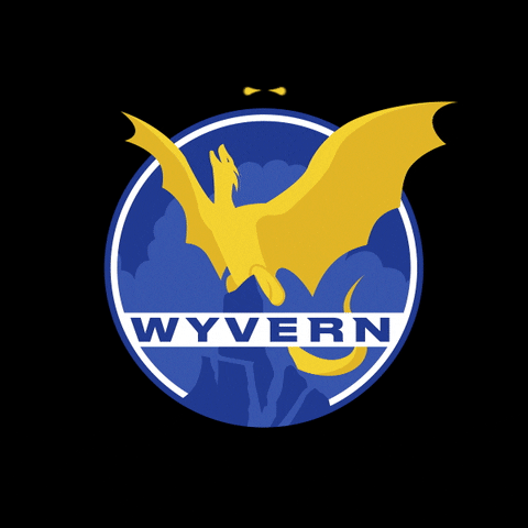 Wyvern GIF by F45 JurongCBD