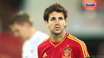 Cesc Fabregas Spain GIF