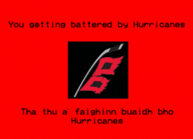Carolina Hurricanes GIF