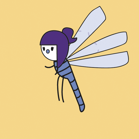 Insect Dragonfly GIF