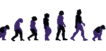 Evolution Sticker by Oide.Art