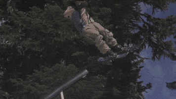 freeskier-magazine  GIF