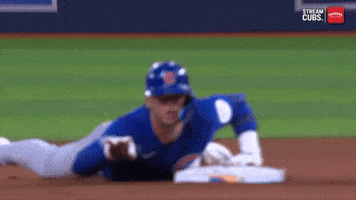 Celebrate Chicago Cubs GIF by MLB