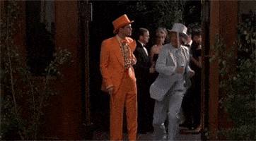 Dumb And Dumber GIFs - Find & Share on GIPHY