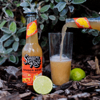 Ginger Beer Drinks GIF by Square Root Soda
