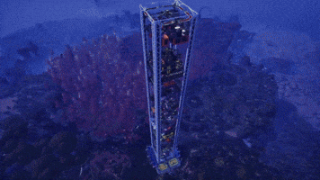 Race GIF