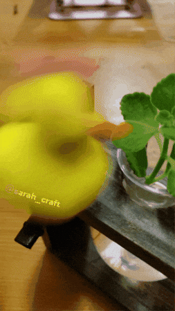 鳥 黄色 GIF