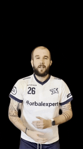 Kralupy Wolves GIF