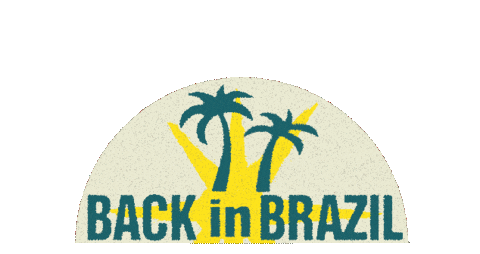 Paul McCartney - Back In Brazil 
