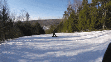 carving snowboarding GIF by Elevated Locals