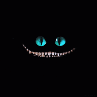 Cheshire Cat GIF by MOODMAN
