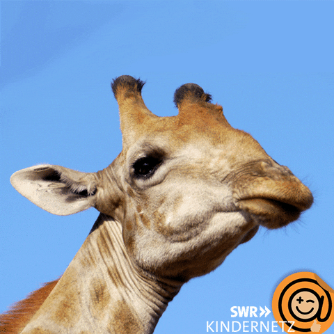 Tongue Love GIF by SWR Kindernetz