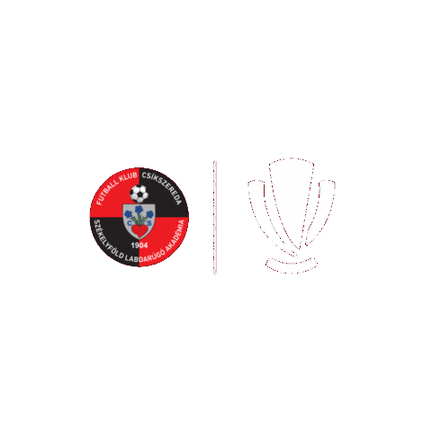 Liga 1 Football Sticker by Superliga Romania